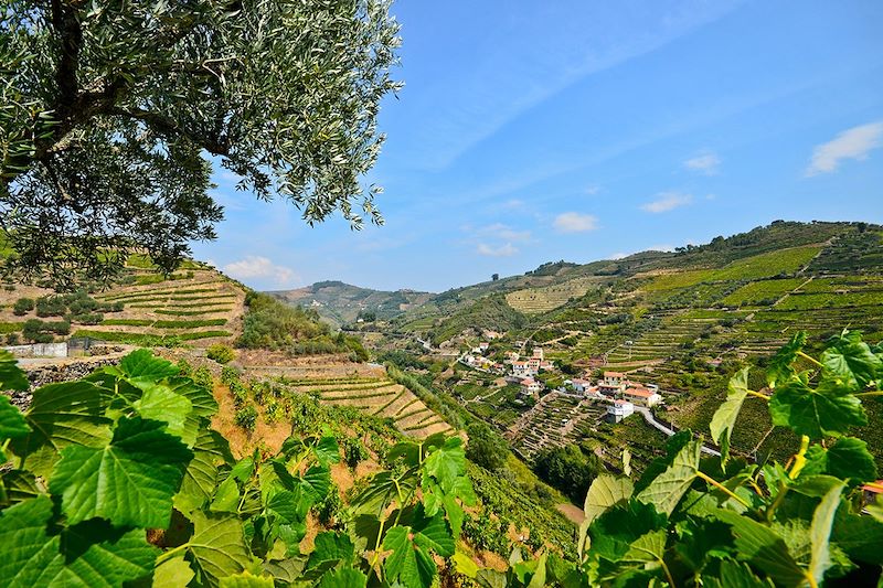 Peso da Regua - Vallée du Douro - Portugal