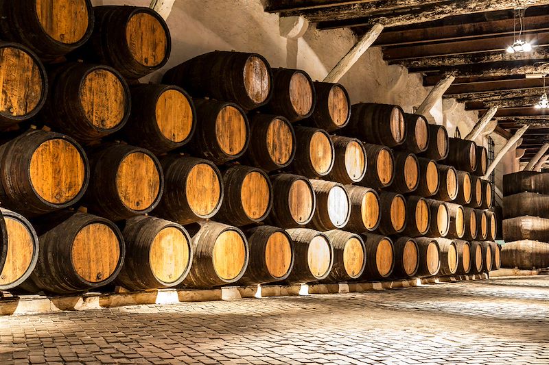 Voyage gourmand au Portugal