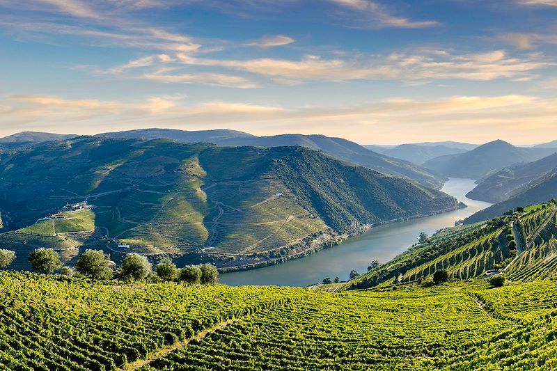 Voyage gourmand au Portugal