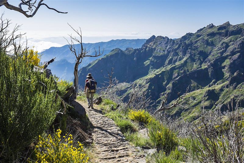 Randonnée aux alentours du Pico Ruivo - Madère - Portugal