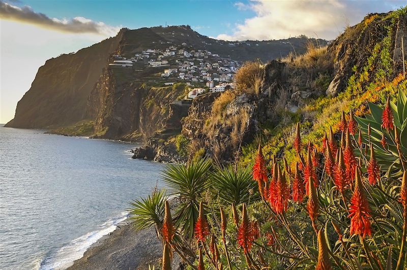 Vue sur Câmara de Lobos - Madère - Portugal