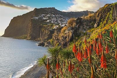 Randonnées et plages de Porto Santo 2