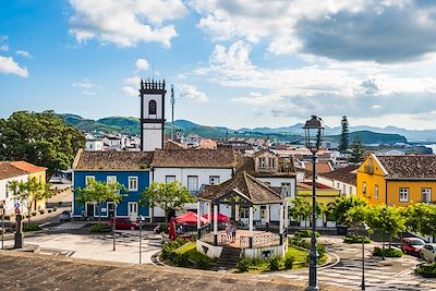 Sao Miguel, la charmante île verte 3