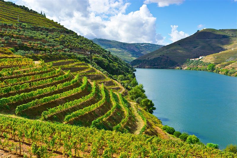 Le Douro - Portugal