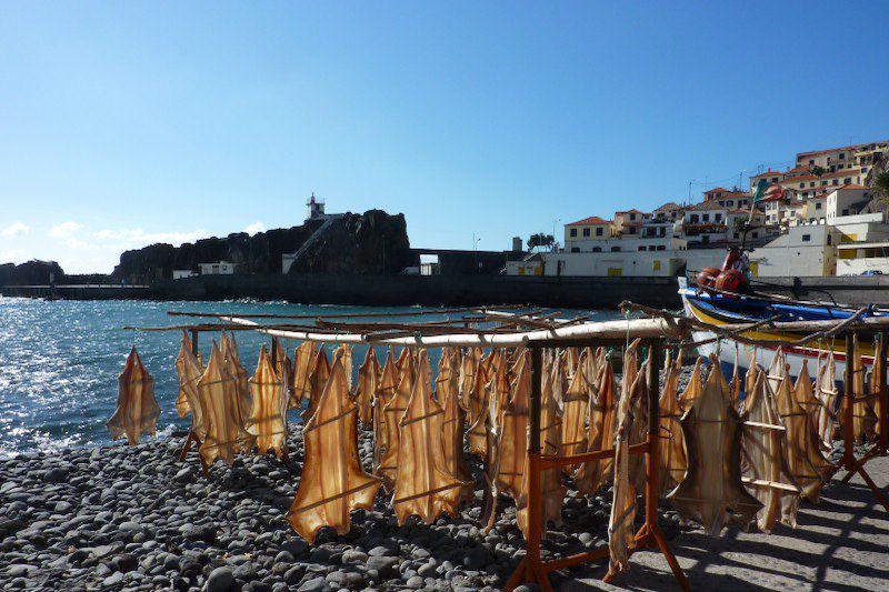 Du sud de Madère à Porto Santo, l'île dorée