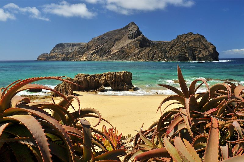 Du sud de Madère à Porto Santo, l'île dorée