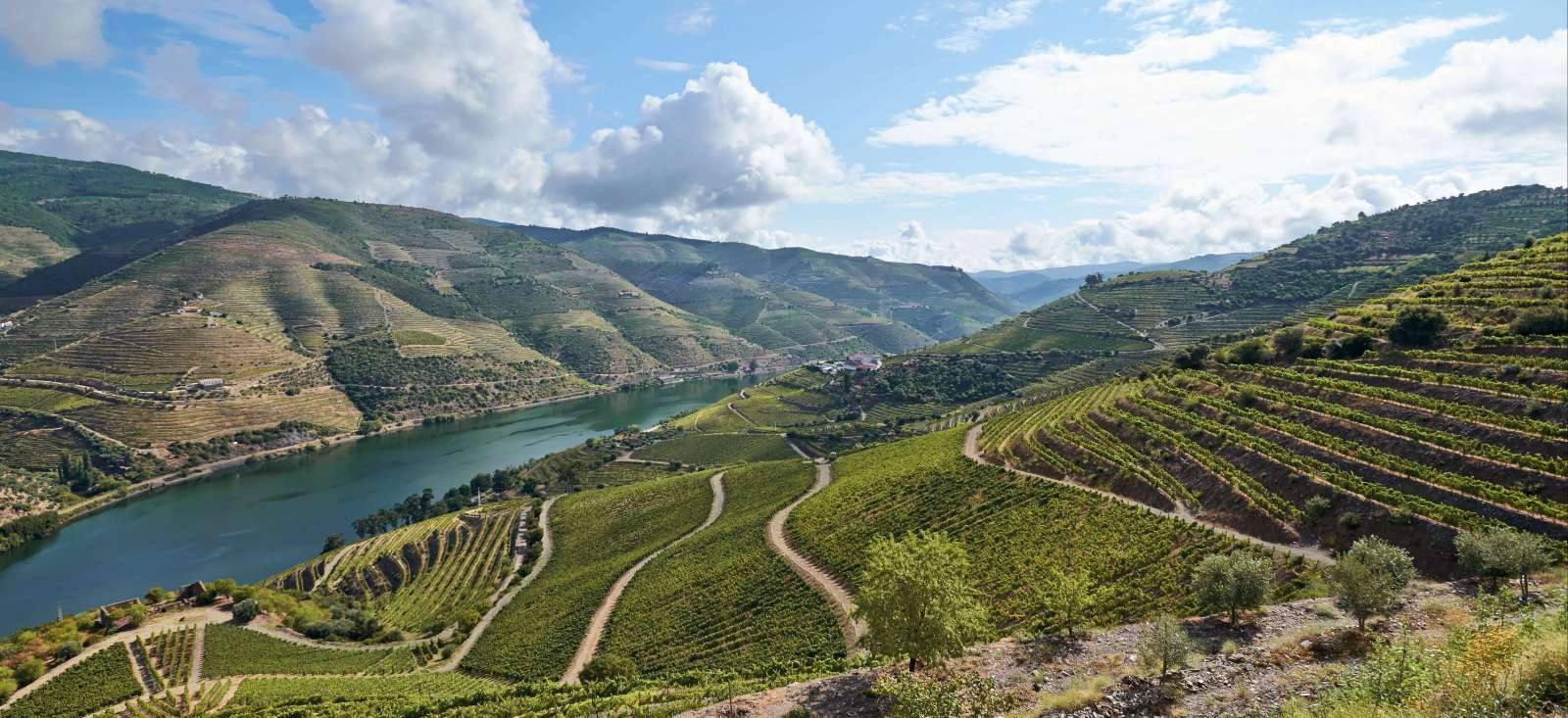 Voyage découverte - Porto et les secrets du Douro