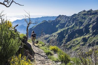 Trek et randonnée aux Açores