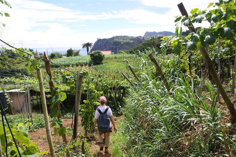 Randonnée dans les environs de Sao Jorge - Madère