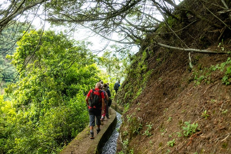 Randonnée près d'une levada - Madère