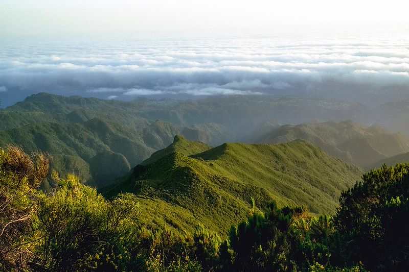 Vue depuis le Pico Ruivo - Madère