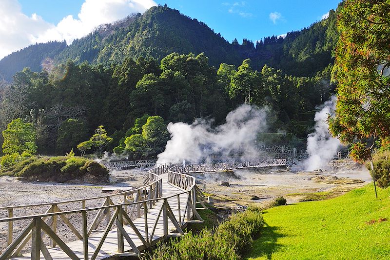 Fumerolles de Furnas - Île de São Miguel - Açores