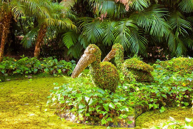 Parque Terra Nostra - Île de São Miguel - Açores