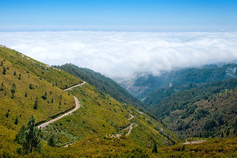 Sur le chemin de la Levada des 25 sources - Madère - Portugal