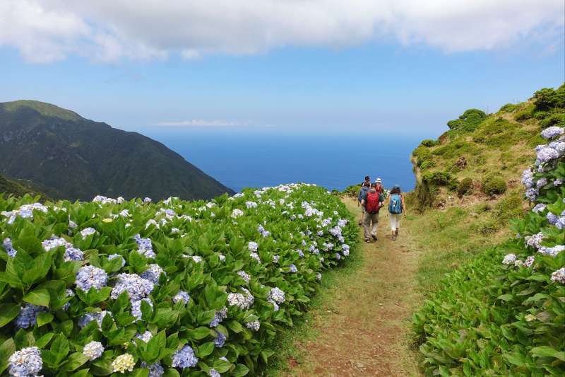 Açores : le petit paradis oublié !
