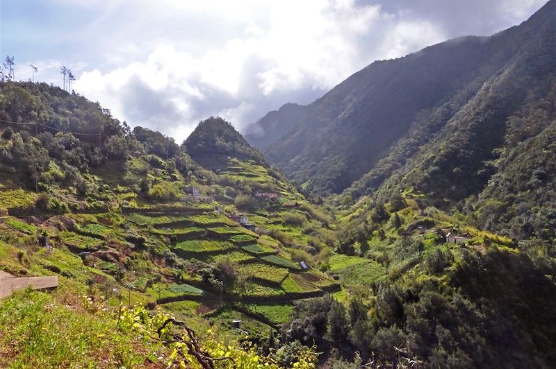 Sur le chemin entre Porto da Cruz et Machico - Madère - Portugal