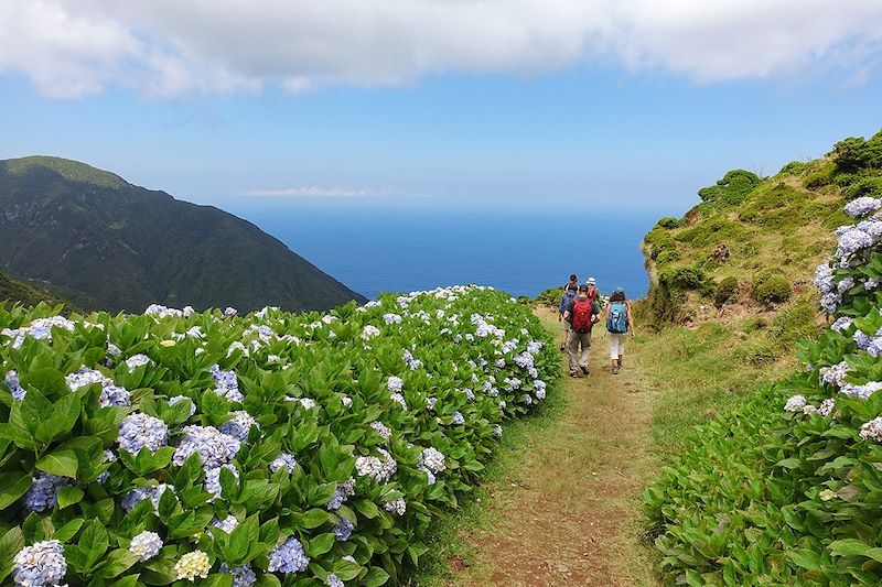 Randonnée vers le Lagoa da Fajã de Santo Cristo - Île de São Jorge - Açores