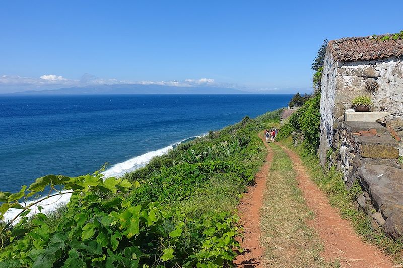 Fajã de São João - Île de São Jorge - Açores