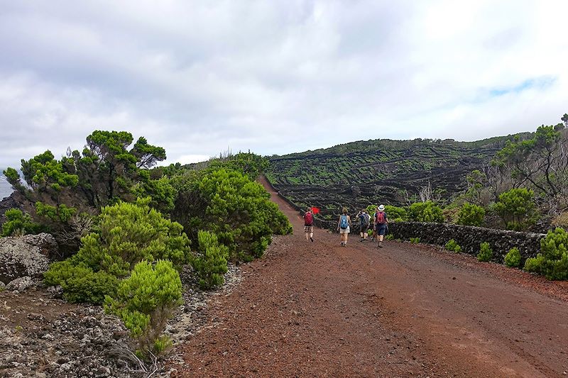 Randonnée à Candelária - Île de Pico - Açores