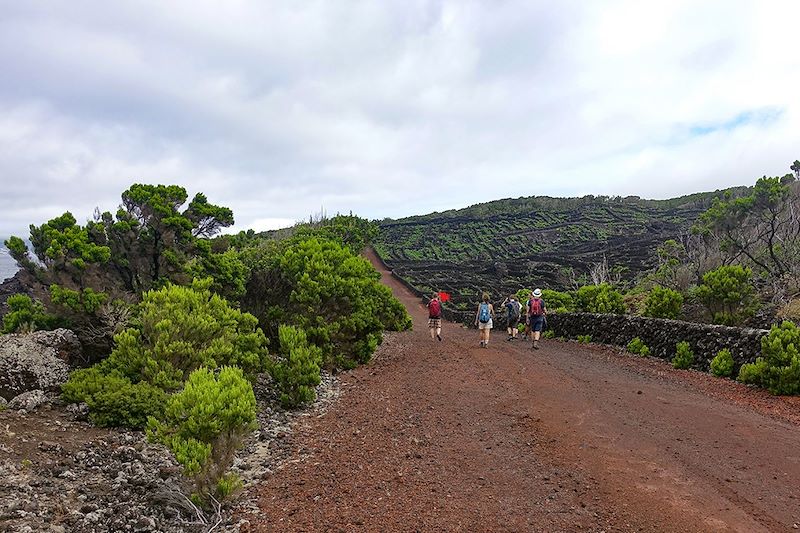 Randonnée à Candelária - Île de Pico - Açores