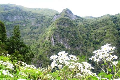 Madère en douceur... 4