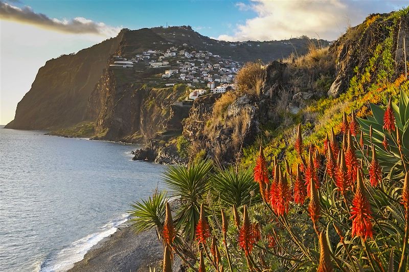 Vue sur Câmara de Lobos - Madère - Portugal