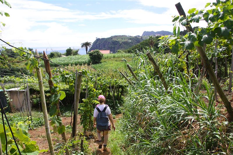 Randonnée dans les environs de Sao Jorge - Madère