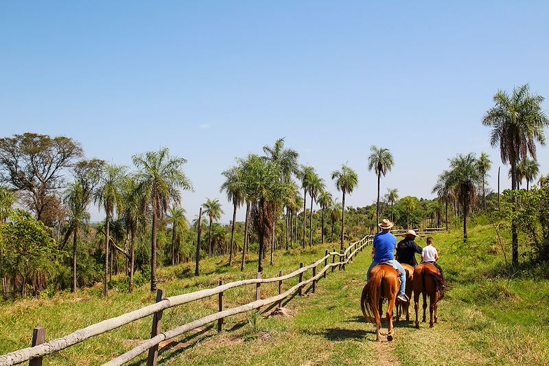 Estancia La Valtellina sur les collines d'Altos - Paraguay