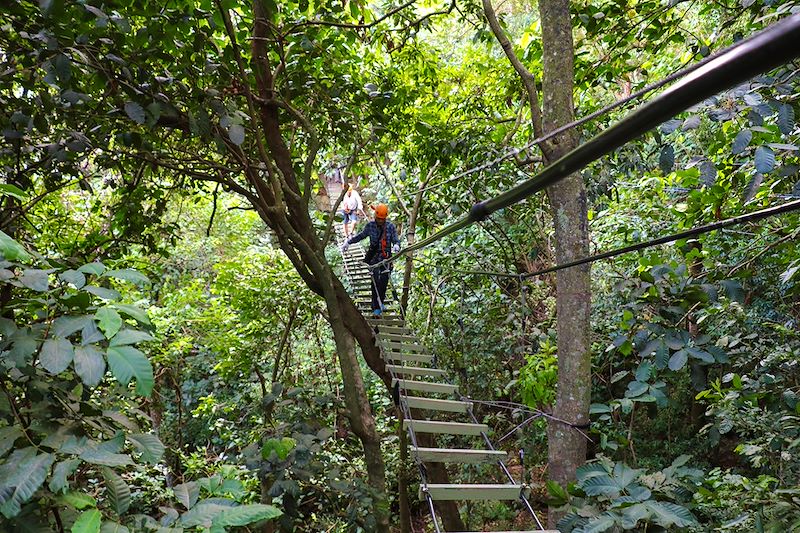 Pont suspendu à l'Eco Reserva Mbatovi - Paraguay
