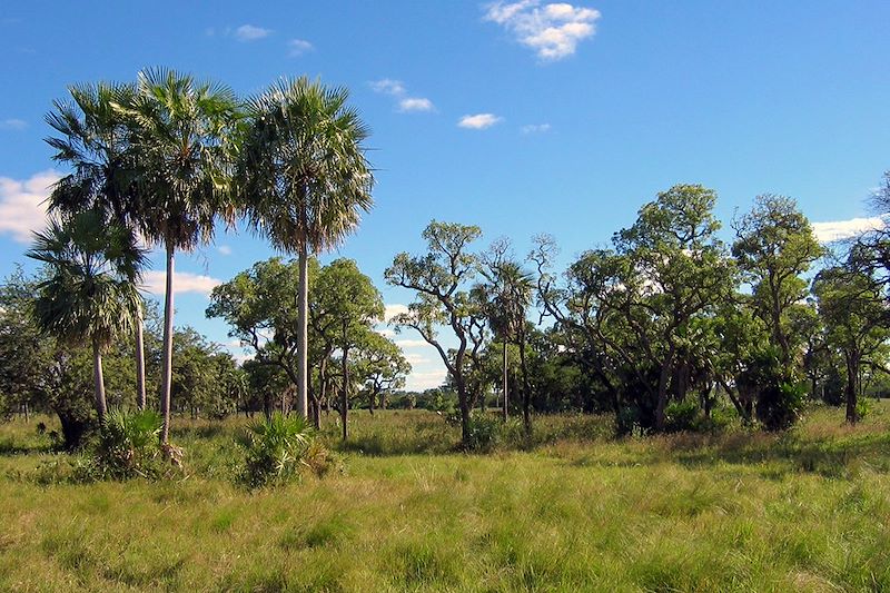 Gran Chaco - Paraguay