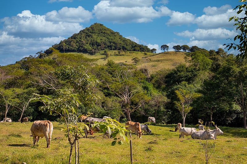 Cordillère d’Ybytyruzú - Paraguay