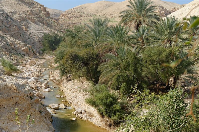 Wadi Qelt - Palestine
