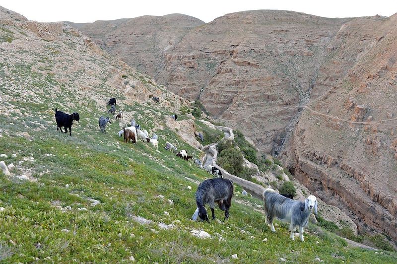 Les sentiers d'Abraham, une vieille histoire 