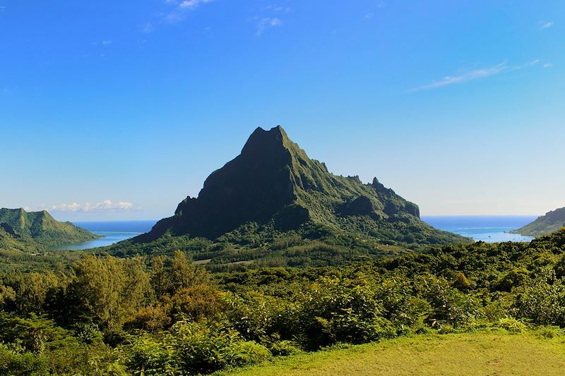 Vue depuis le belvédère de Moorea - Polynésie