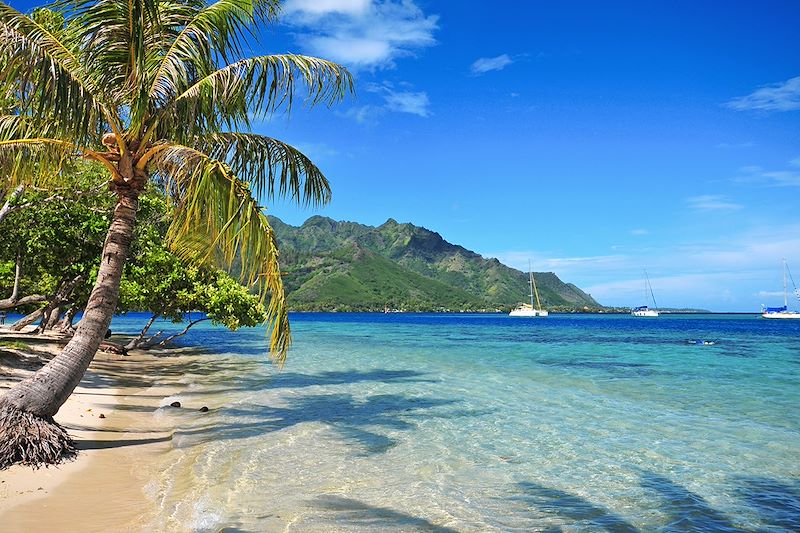 Plage de Moorea - Archipel de la Société - Polynésie