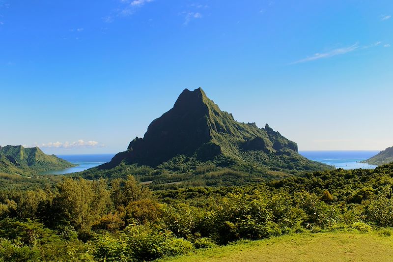 Vue depuis le belvédère de Moorea - Polynésie