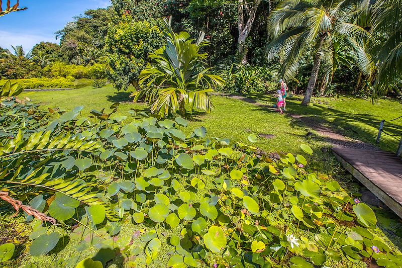 Jardin d'eau de Vaipahi - Tahiti - Polynésie