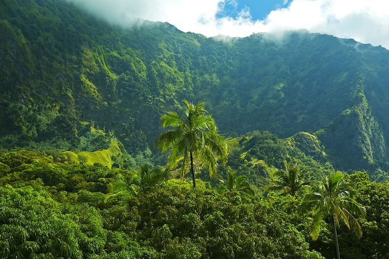 Paysage à Hiva Oa - Archipel des Marquises - Polynésie française