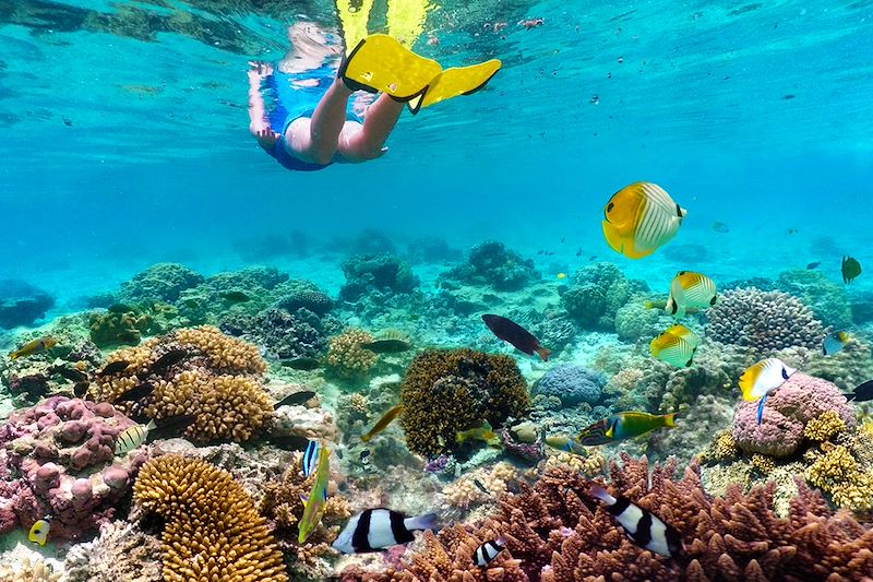 Snorkeling au-dessus des coraux 