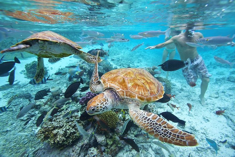 Snorkeling à Bora Bora - Îles Sous-le-Vent - Polynésie française