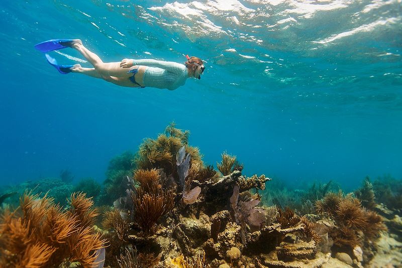 Snorkeling en Polynésie