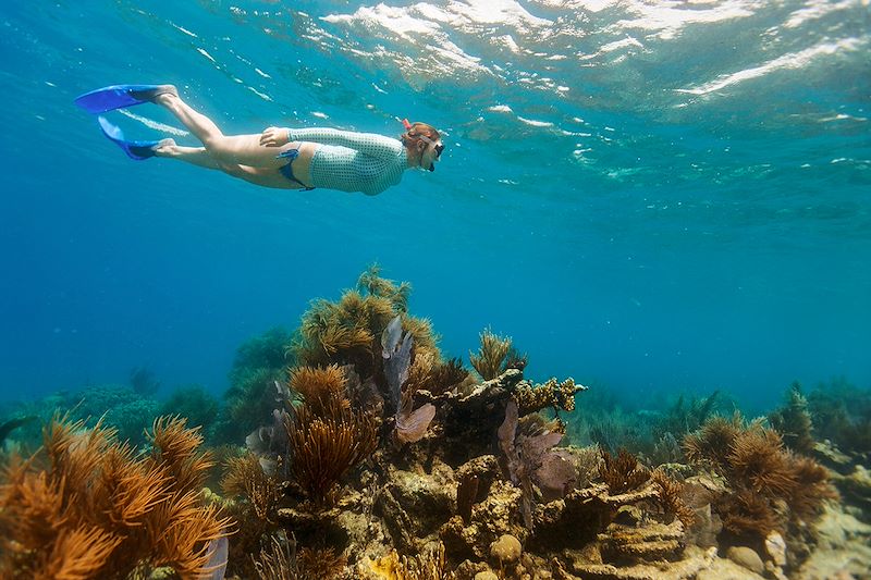 Snorkeling en Polynésie