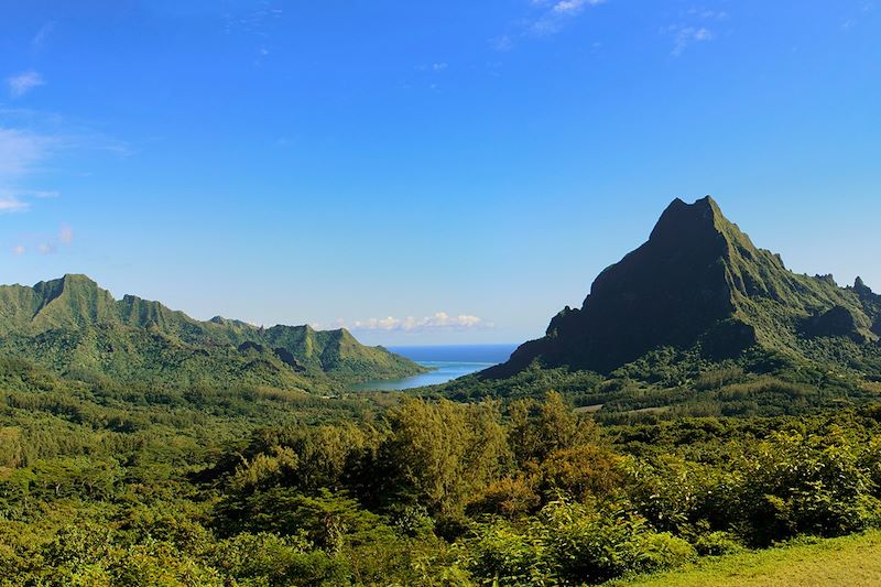 Vue depuis le belvédère de Moorea - Polynésie