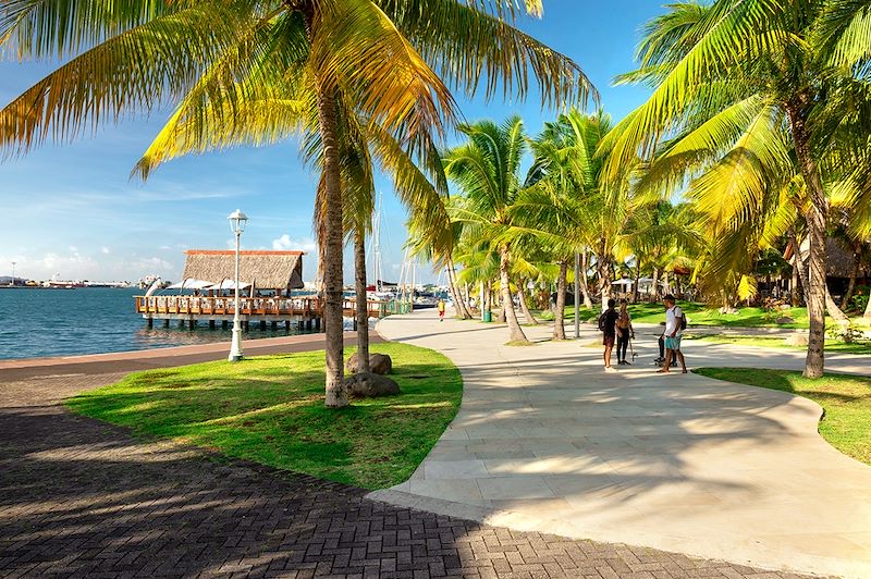 Papeete - Île de Tahiti - Îles du Vent - Polynésie française