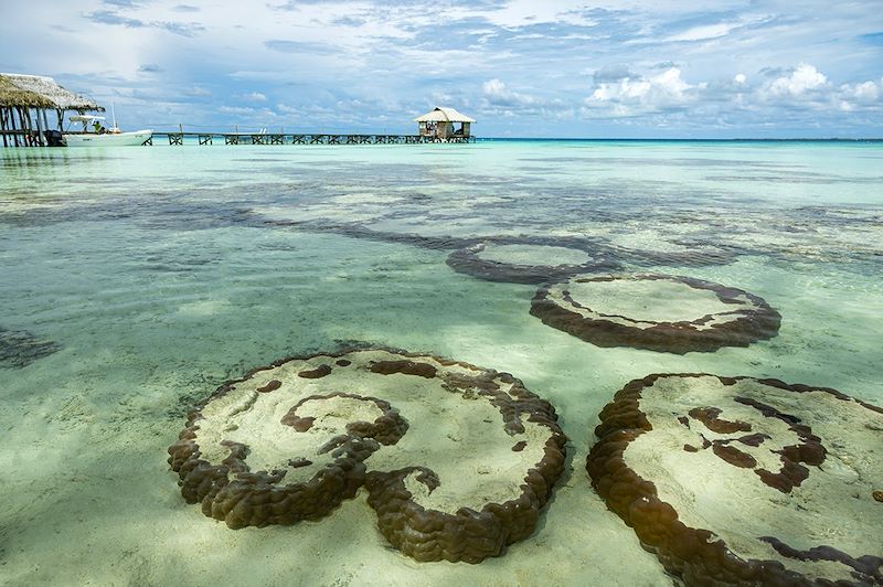 Fakarava - Îles Tuamotu - Polynésie française