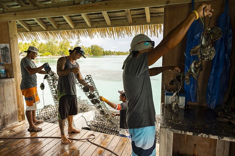 Ferme perlière à Fakarava - Îles Tuamotu - Polynésie française