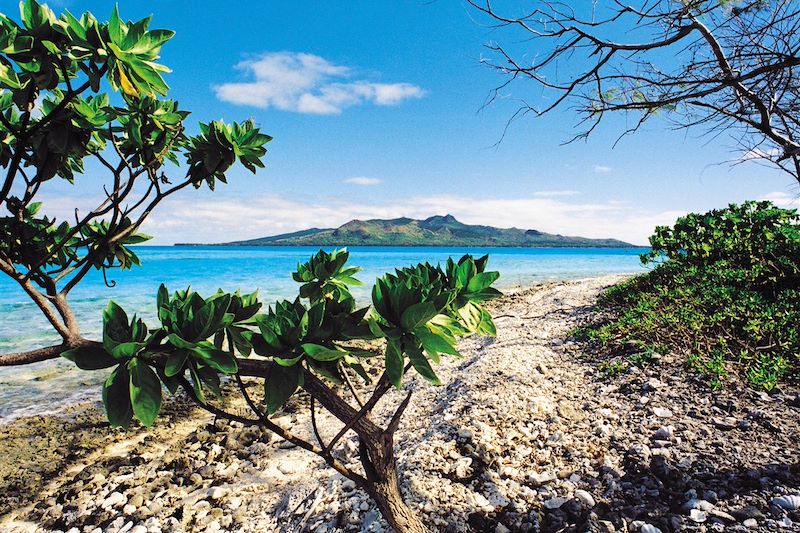 Paysage de Tubuai -  Archipel des Australes - Tahiti - Polynésie
