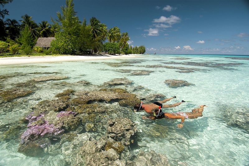 Snorkeling dans l'atoll de Fakarava - Archipel des Tuamotu - Polynésie française