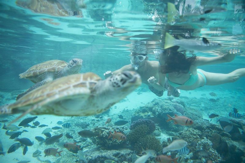 Les îles Marquises à bord de l'Aranui