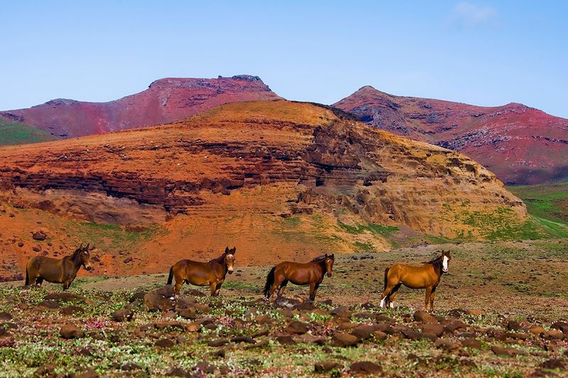 Les îles Marquises à bord de l'Aranui